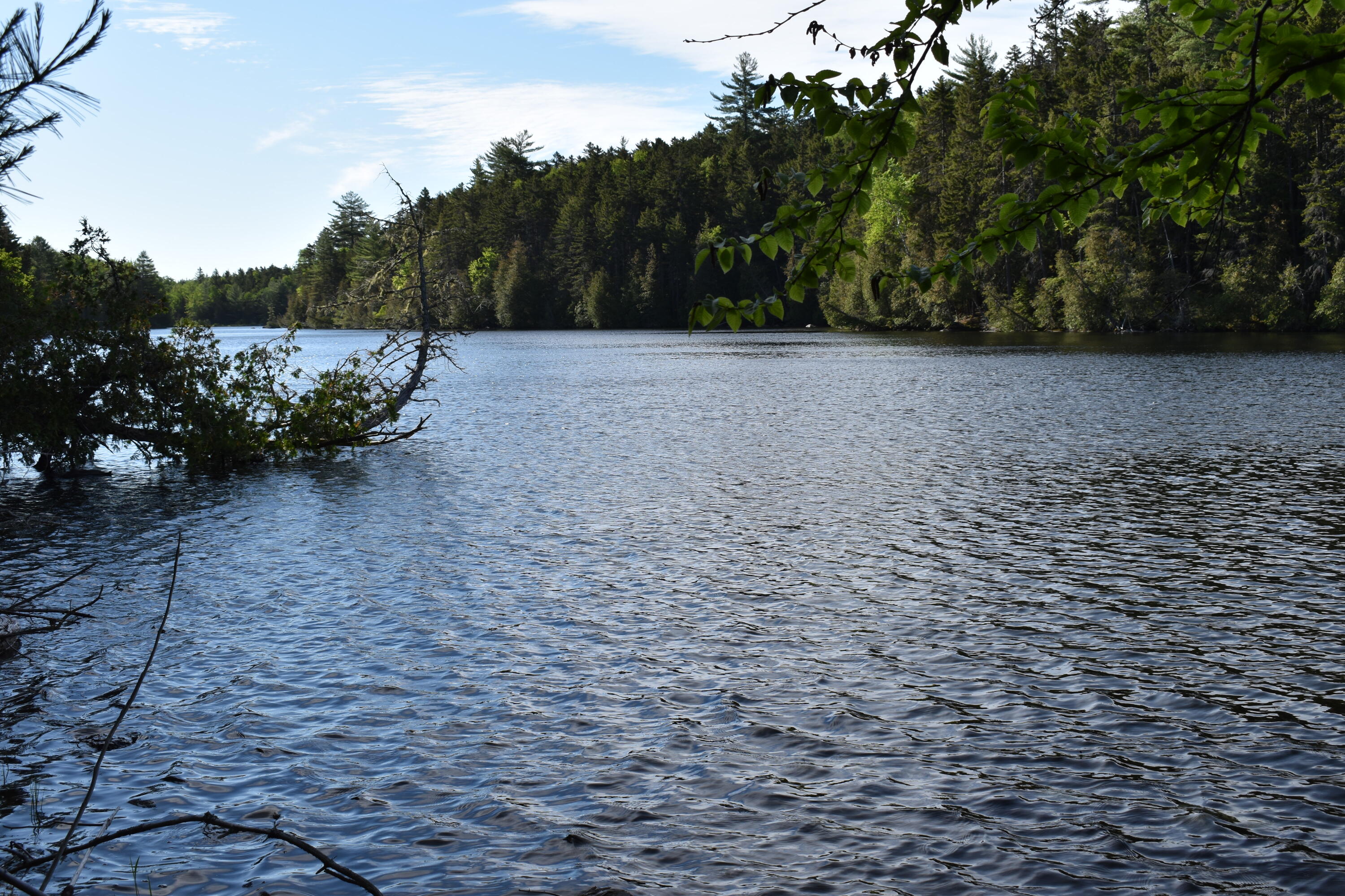 184 Dark Cove Road Weston, ME 04424 - Photo 2 of 24 DSC_0175