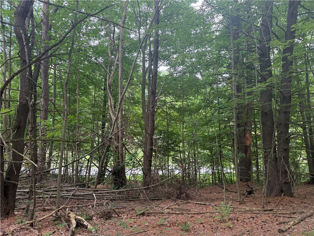 0 Ringwood Road Freeville, NY 13068 - Photo 7 of 35 Gallery Image 7