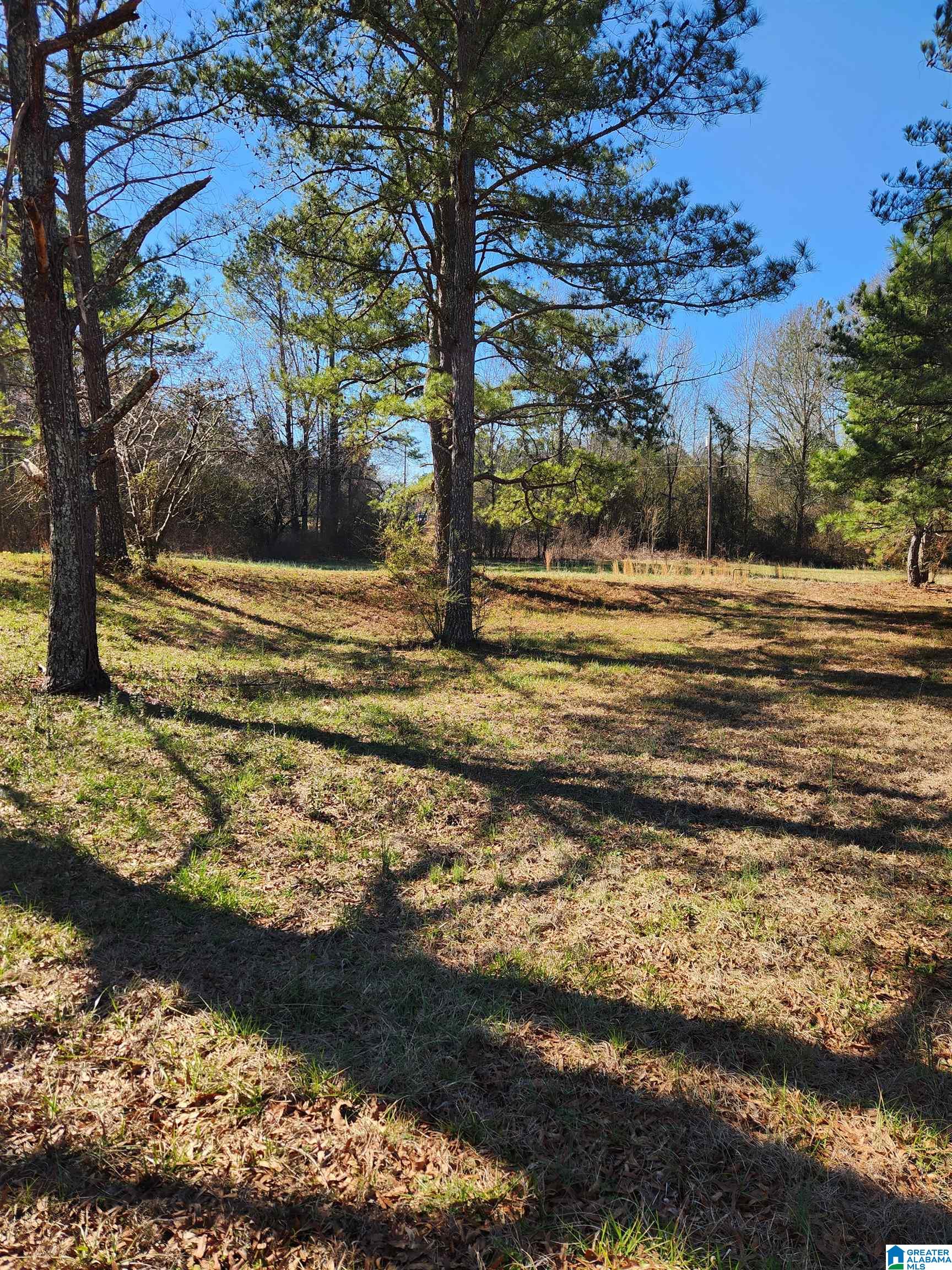 29 Self Road, Unit 1 Anniston, AL 36201 - Photo 4 of 12
