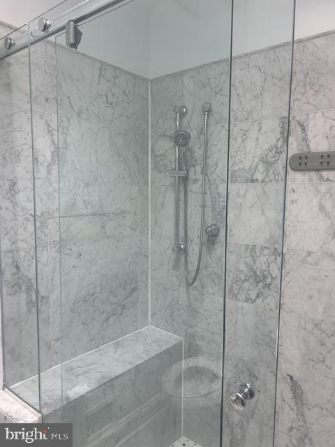 311 I Street Northeast Washington, DC 20002 - Photo 28 of 42 Primary Bath shower