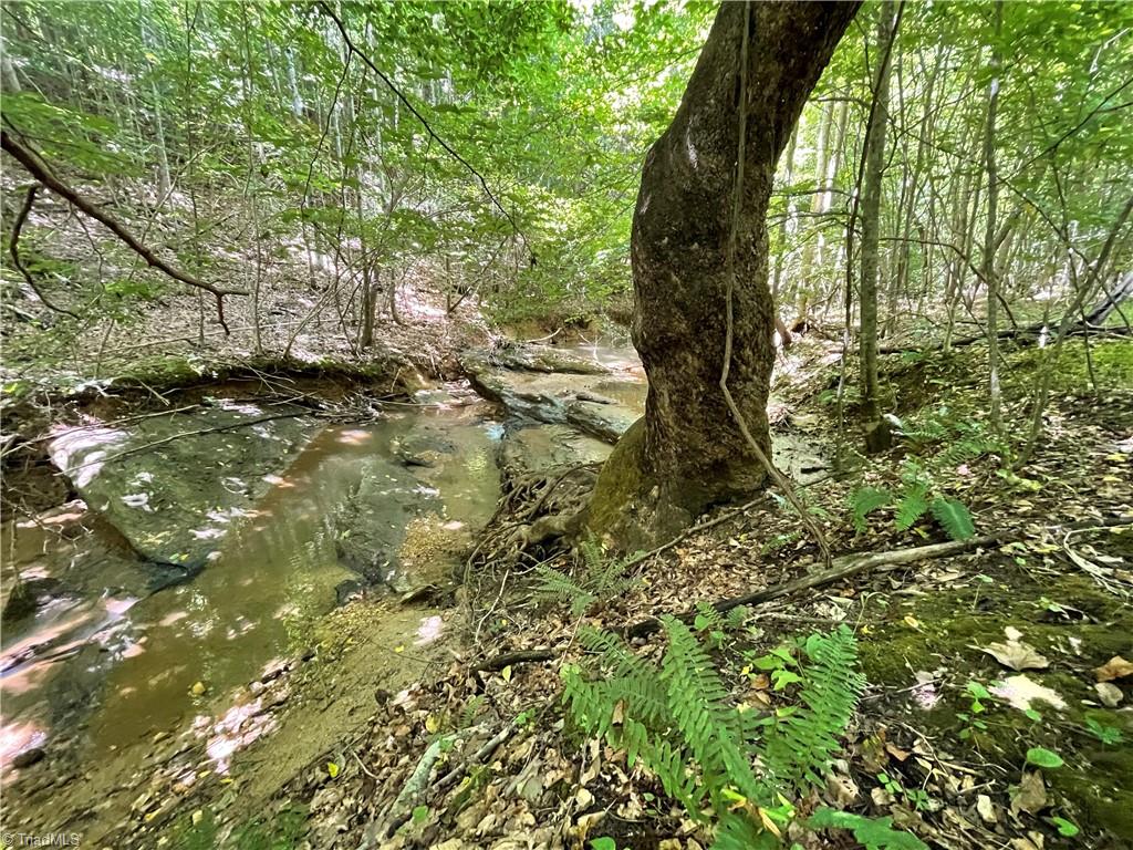 1552 Ray Wilson Road Sandy Ridge, NC 27046 - Photo 35 of 49