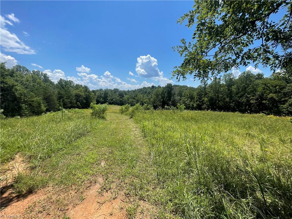 1552 Ray Wilson Road Sandy Ridge, NC 27046 - Photo 38 of 49