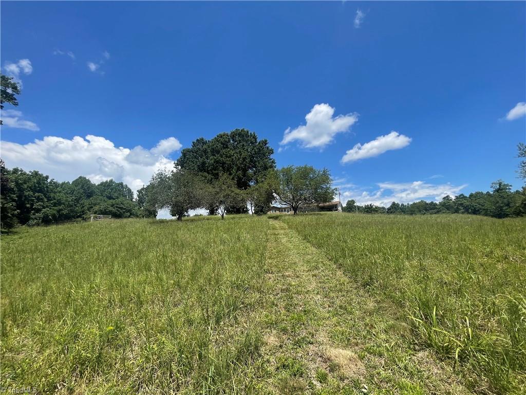 1552 Ray Wilson Road Sandy Ridge, NC 27046 - Photo 39 of 49