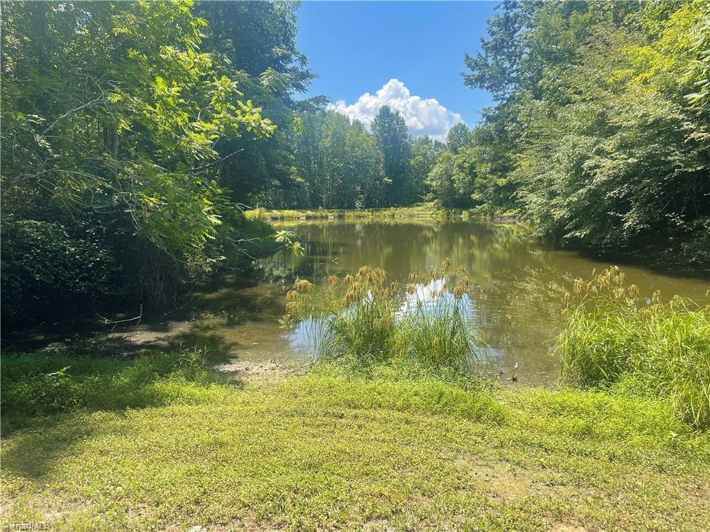 1552 Ray Wilson Road Sandy Ridge, NC 27046 - Photo 40 of 49