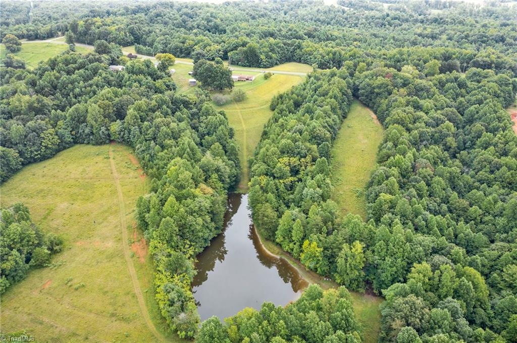 1552 Ray Wilson Road Sandy Ridge, NC 27046 - Photo 41 of 49