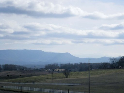Carmichael Road White Pine, TN 37890 - Photo 1 of 13 Primary Photo