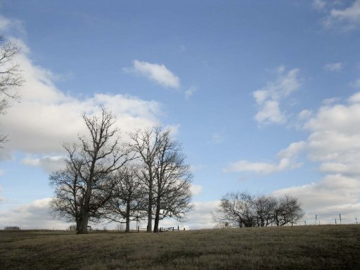 Carmichael Road White Pine, TN 37890 - Photo 4 of 13 Additional Photo