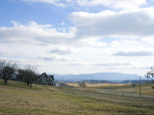 Carmichael Road White Pine, TN 37890 - Photo 6 of 13 Additional Photo