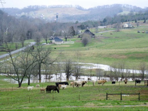 Carmichael Road White Pine, TN 37890 - Photo 8 of 13 Additional Photo