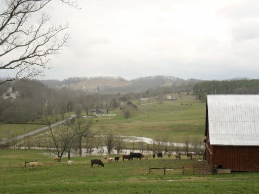 Carmichael Road White Pine, TN 37890 - Photo 10 of 13 Additional Photo