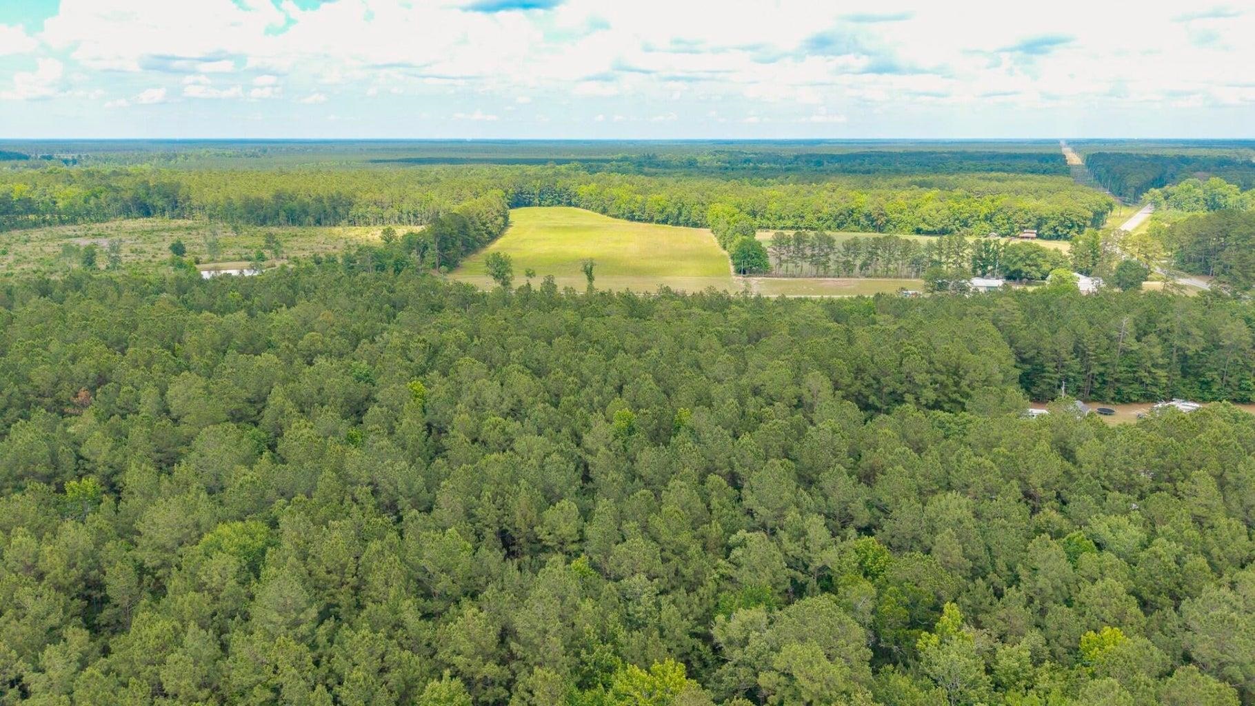 6222 Saints Delight Road Georgetown, SC 29440 - Photo 22 of 27
