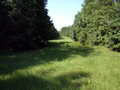 Greensburg Road Smithdale, MS 39664 - Photo 1 of 1 Main View