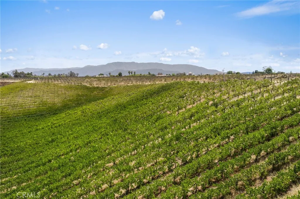 0 Rancho California Road Temecula, CA 92592 - Photo 7 of 13 30 Acres of Vineyards
