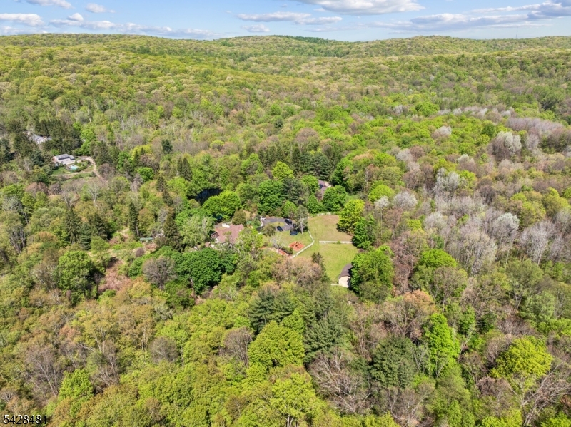 396 Berkshire Valley Road Wharton, NJ 07885 - Photo 13 of 44