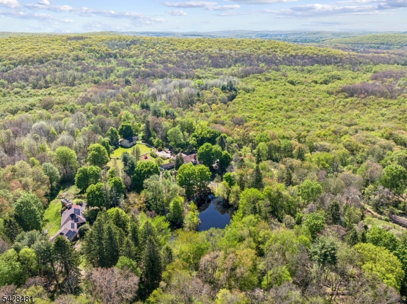 396 Berkshire Valley Road Wharton, NJ 07885 - Photo 3 of 44