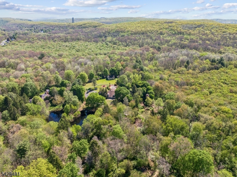 396 Berkshire Valley Road Wharton, NJ 07885 - Photo 4 of 44