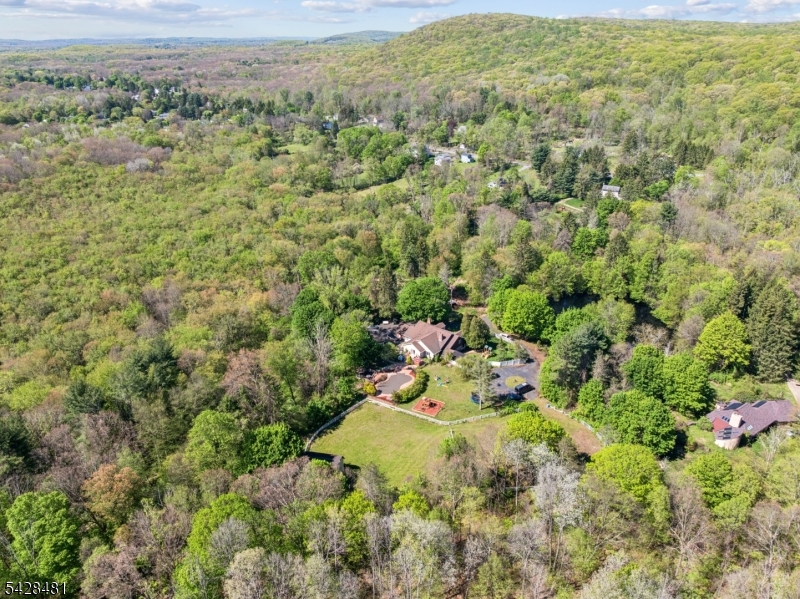 396 Berkshire Valley Road Wharton, NJ 07885 - Photo 6 of 44