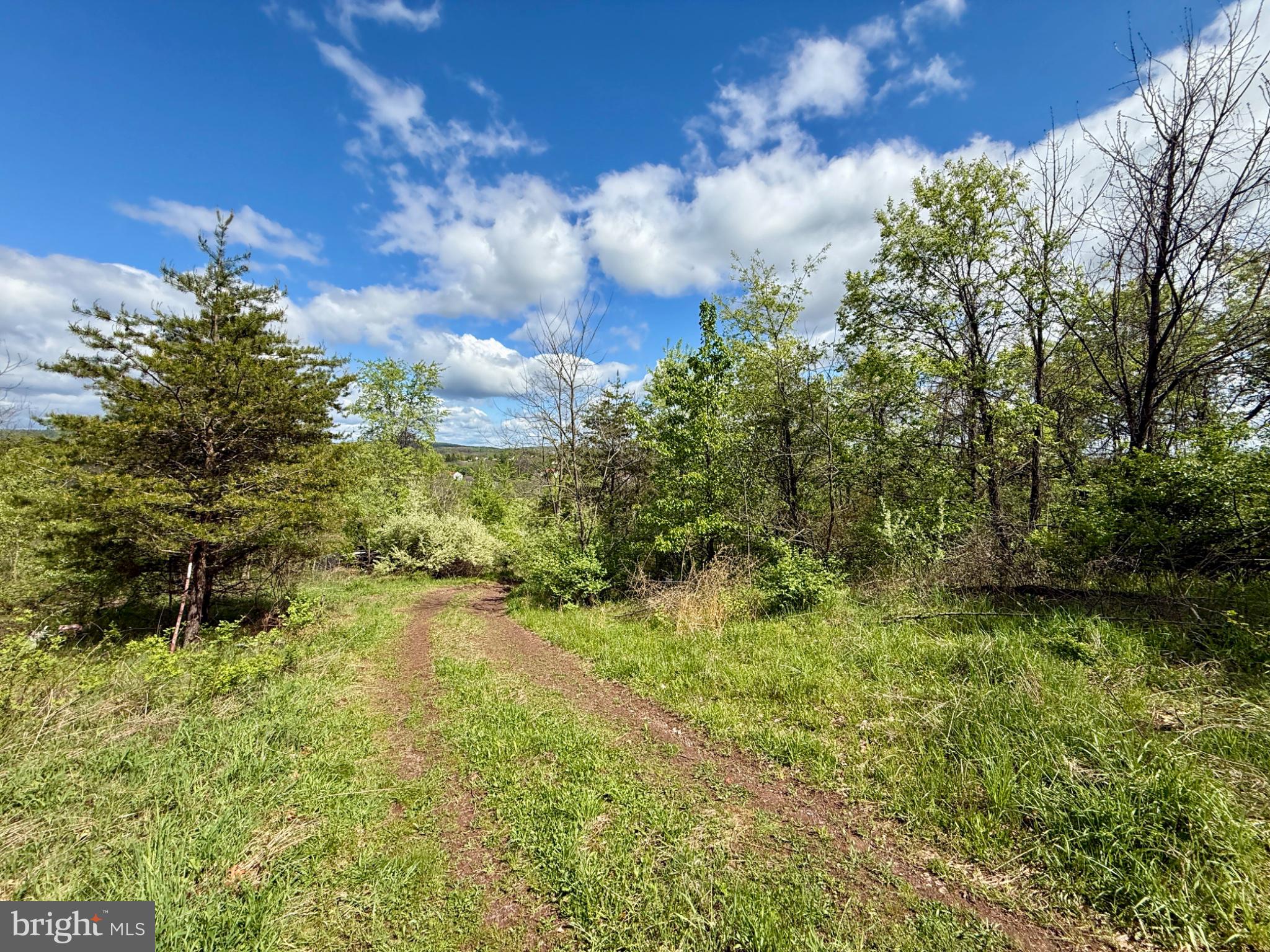 0 Creek Road Shermans Dale, PA 17090 - Photo 1 of 14 Serene path through lush greenery.