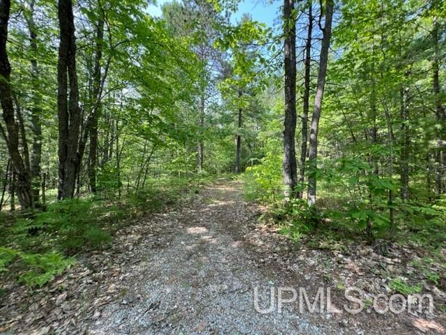 Tbd Powell Lake Road Wetmore, MI 49895 - Photo 10 of 13