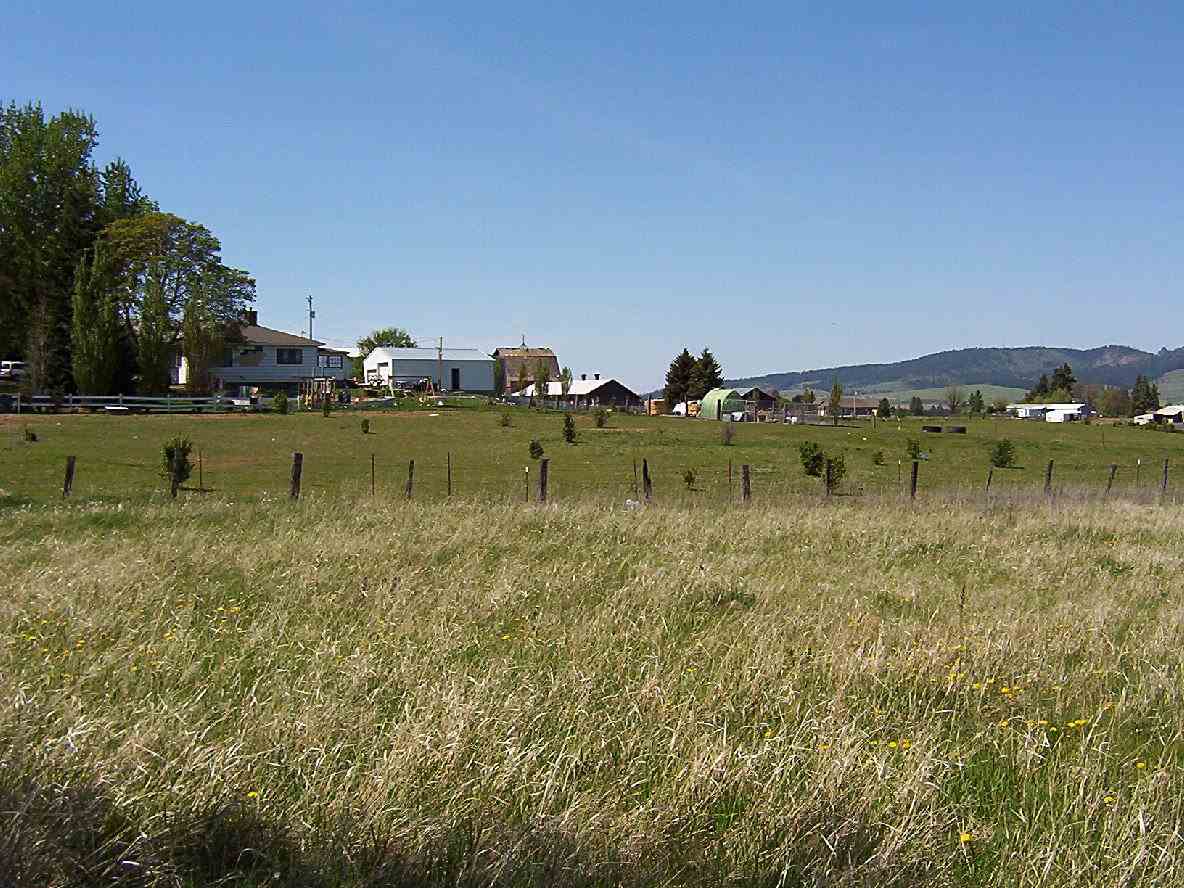 0 Rinear Valleyford, WA 99036 - Photo 3 of 11 Gallery Image 3