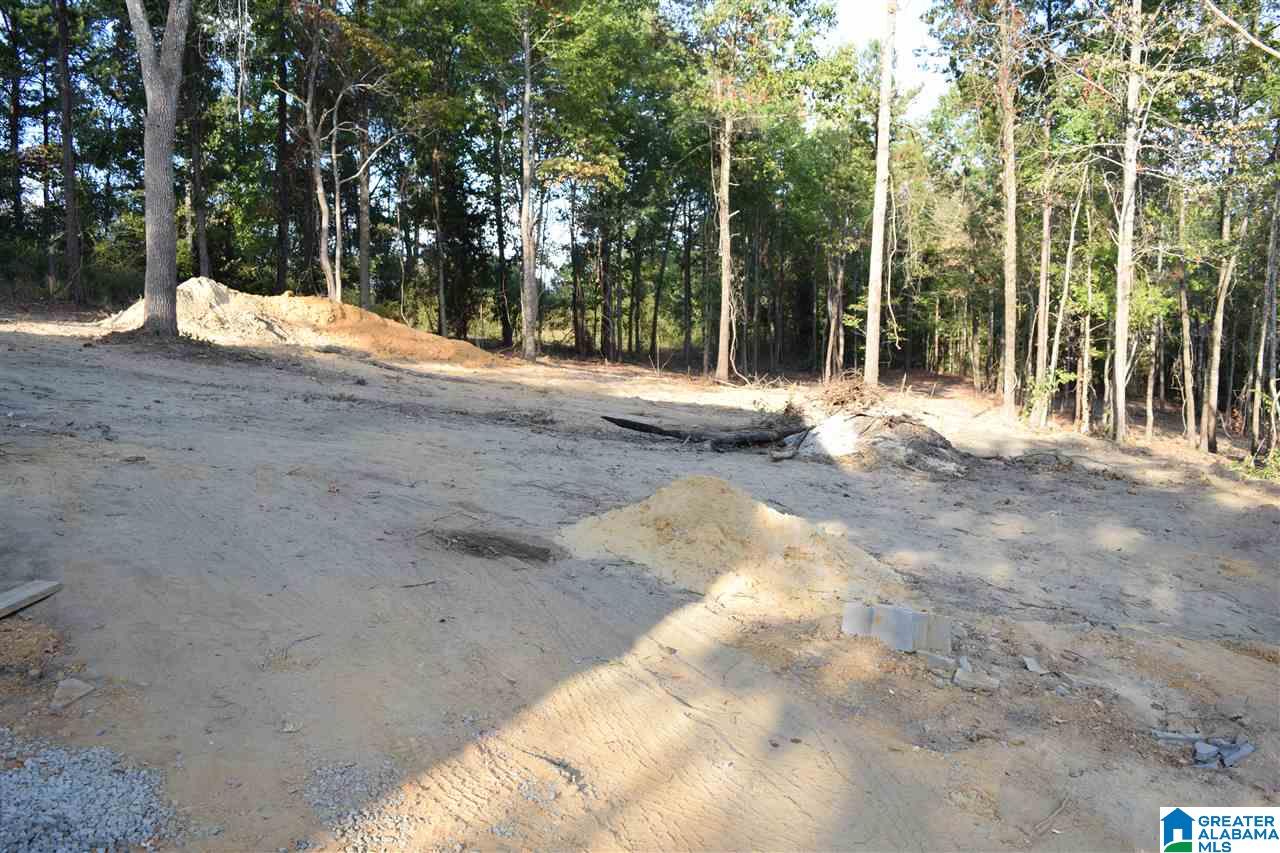 238 Tyler Road Remlap, AL 35133 - Photo 19 of 31