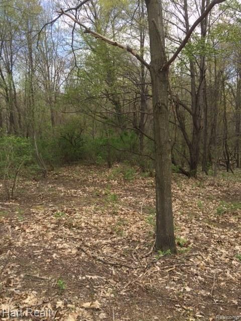 0 South Reese Road Frankenmuth, MI 48734 - Photo 9 of 15