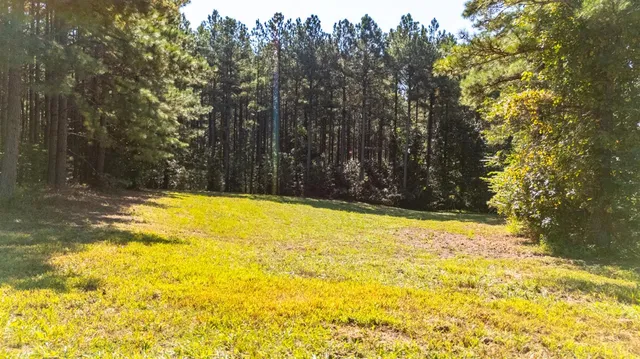 $925,000 | 1562 Rocks Church Road, Pamplin, VA 23958