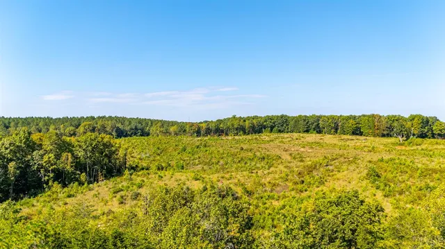 $925,000 | 1562 Rocks Church Road, Pamplin, VA 23958