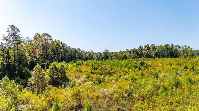 $925,000 | 1562 Rocks Church Road, Pamplin, VA 23958