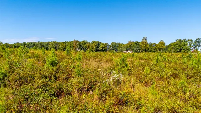 $925,000 | 1562 Rocks Church Road, Pamplin, VA 23958