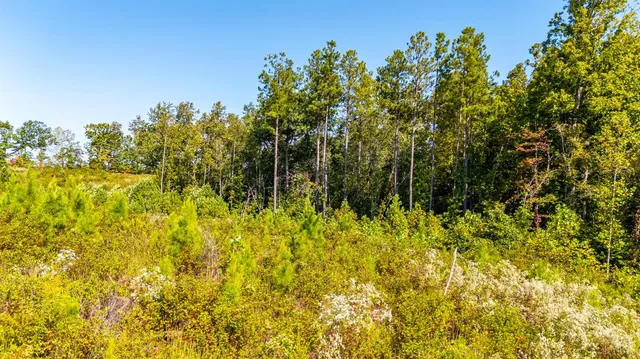 $925,000 | 1562 Rocks Church Road, Pamplin, VA 23958