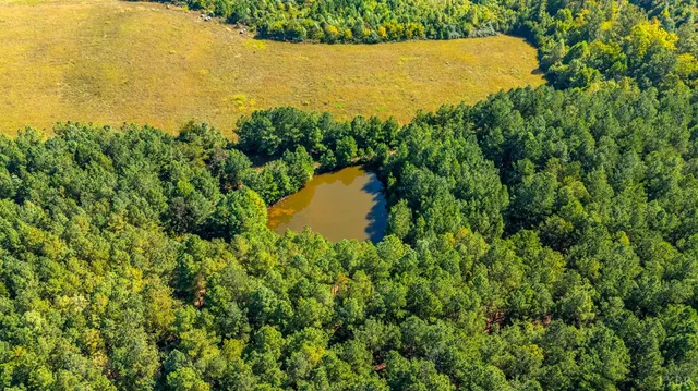 $925,000 | 1562 Rocks Church Road, Pamplin, VA 23958