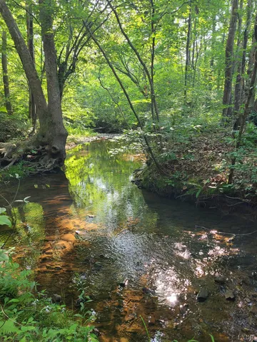 $925,000 | 1562 Rocks Church Road, Pamplin, VA 23958