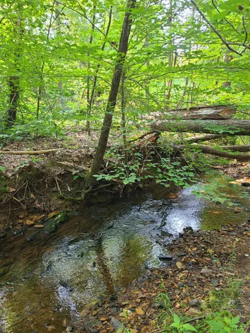 $925,000 | 1562 Rocks Church Road, Pamplin, VA 23958