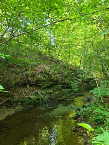 $925,000 | 1562 Rocks Church Road, Pamplin, VA 23958