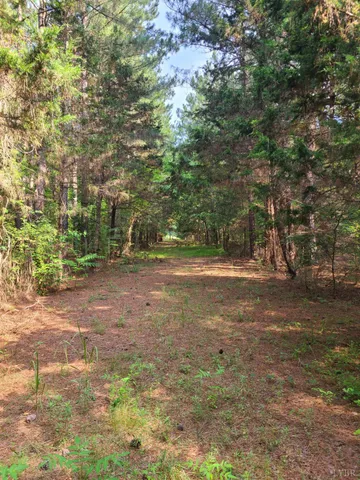 $925,000 | 1562 Rocks Church Road, Pamplin, VA 23958