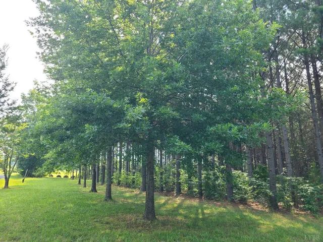 $925,000 | 1562 Rocks Church Road, Pamplin, VA 23958