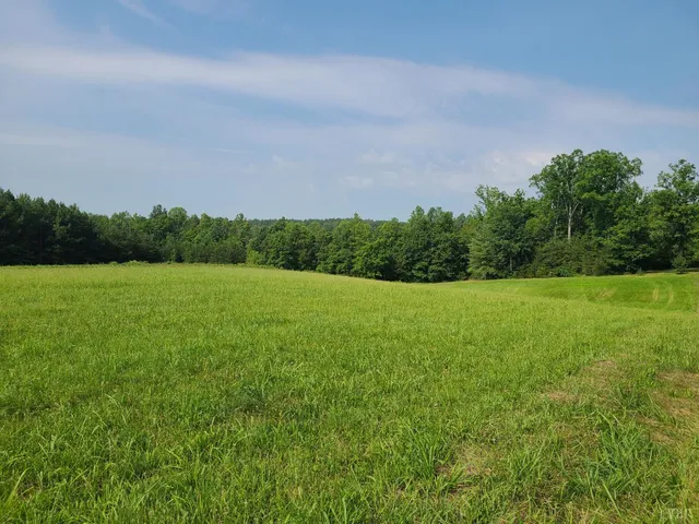 $925,000 | 1562 Rocks Church Road, Pamplin, VA 23958