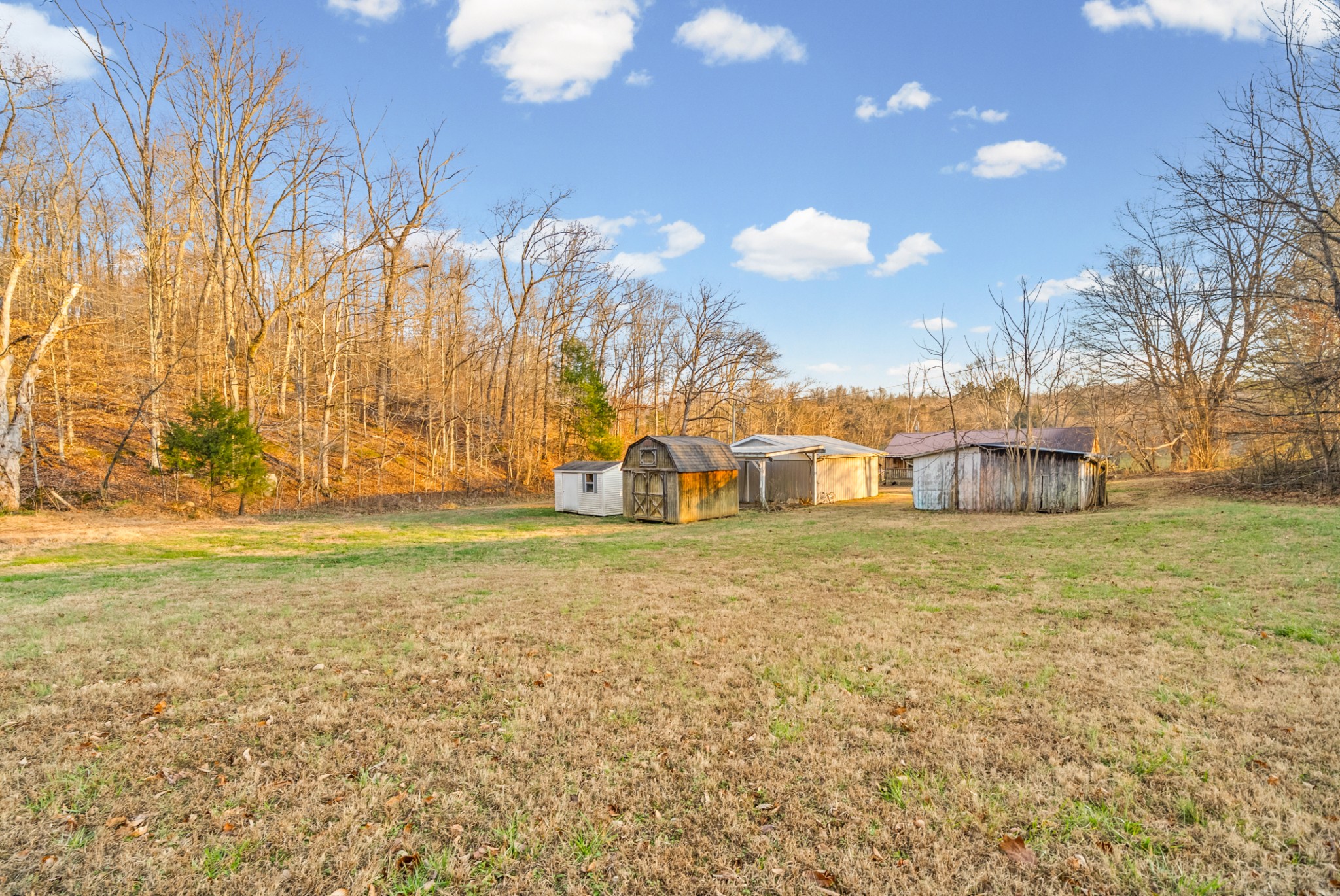 1667 McWhorter Road Cunningham, TN 37052 - Photo 29 of 35 a view of a field with large trees