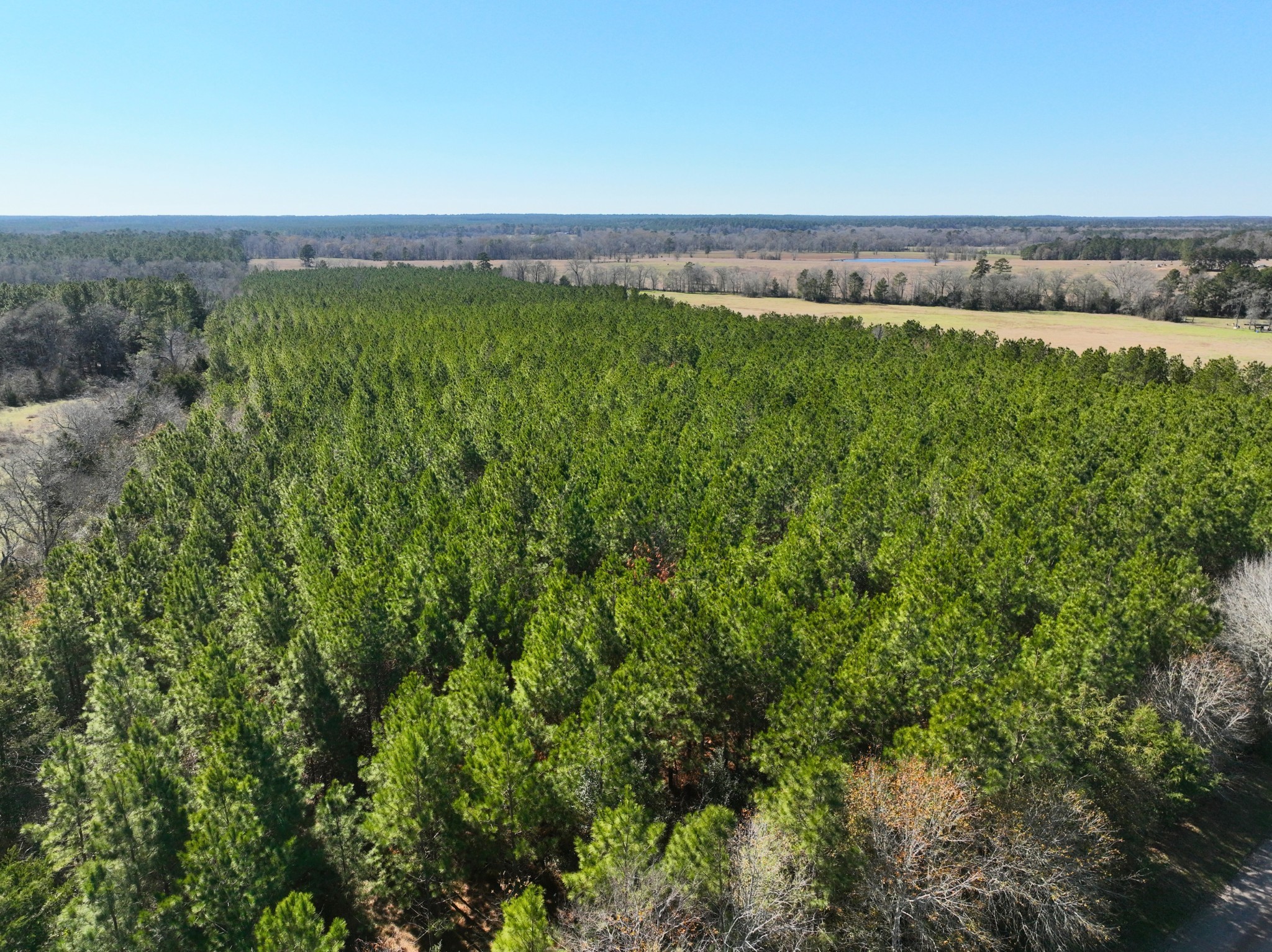 1 Kittrell Road Oakhurst, TX 77359 - Photo 5 of 11