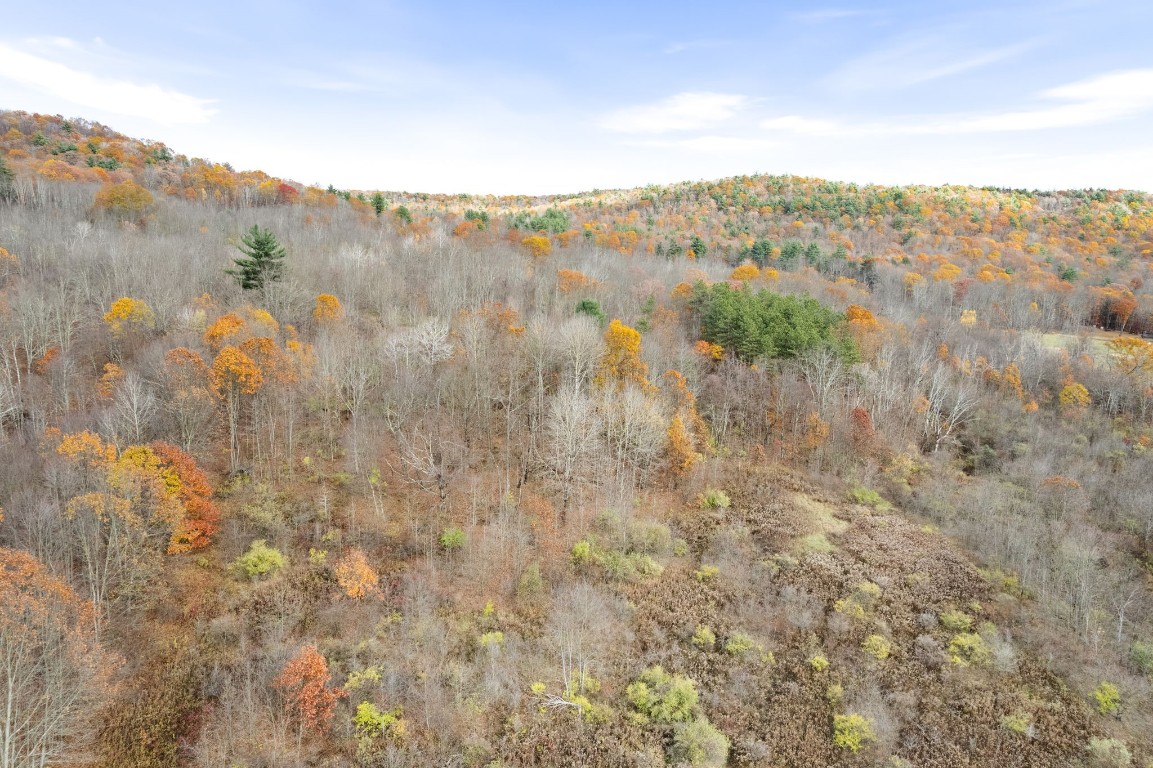 144 State Line Road Windsor, NY 13865 - Photo 5 of 12