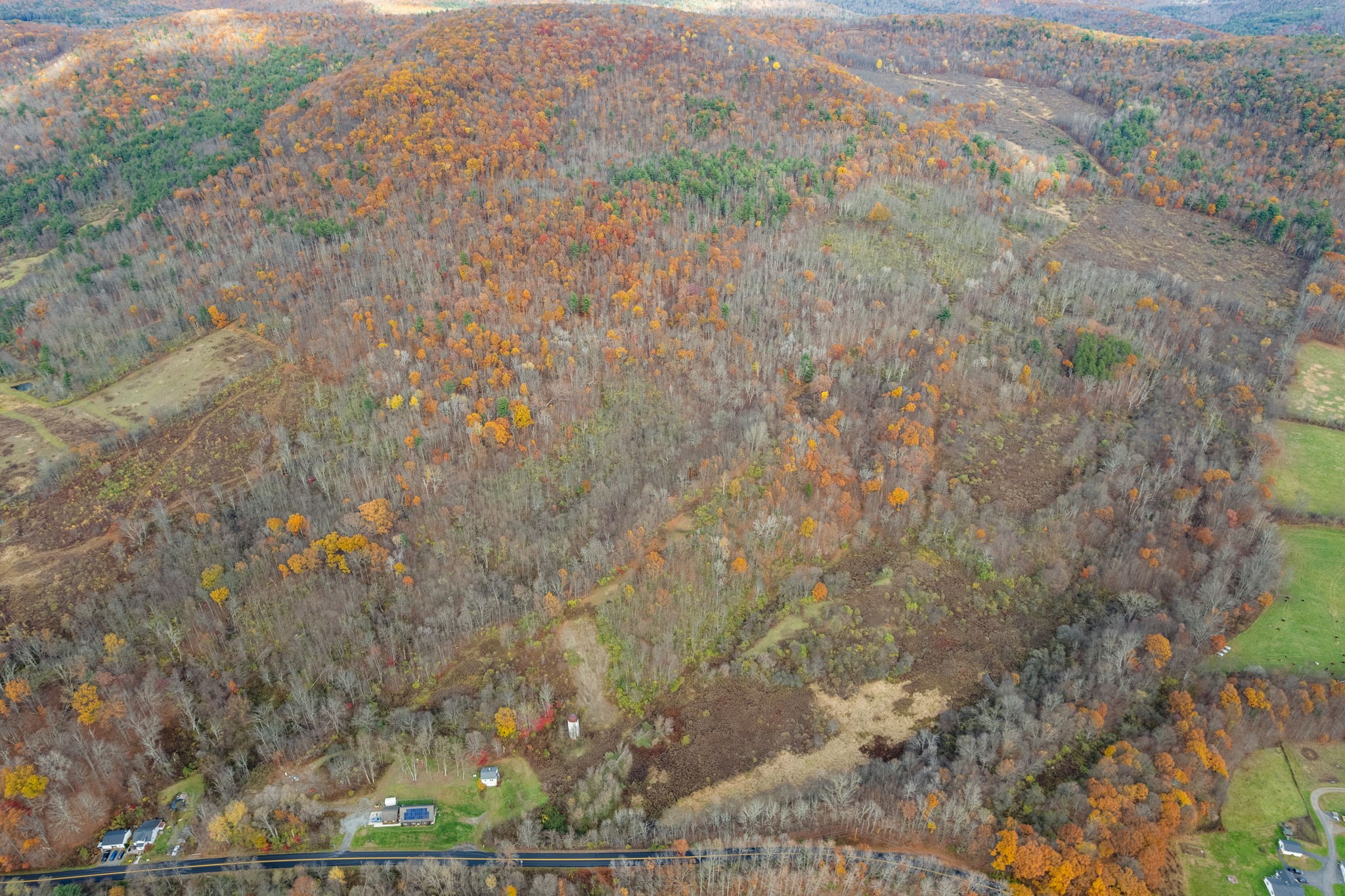 144 State Line Road Windsor, NY 13865 - Photo 6 of 12