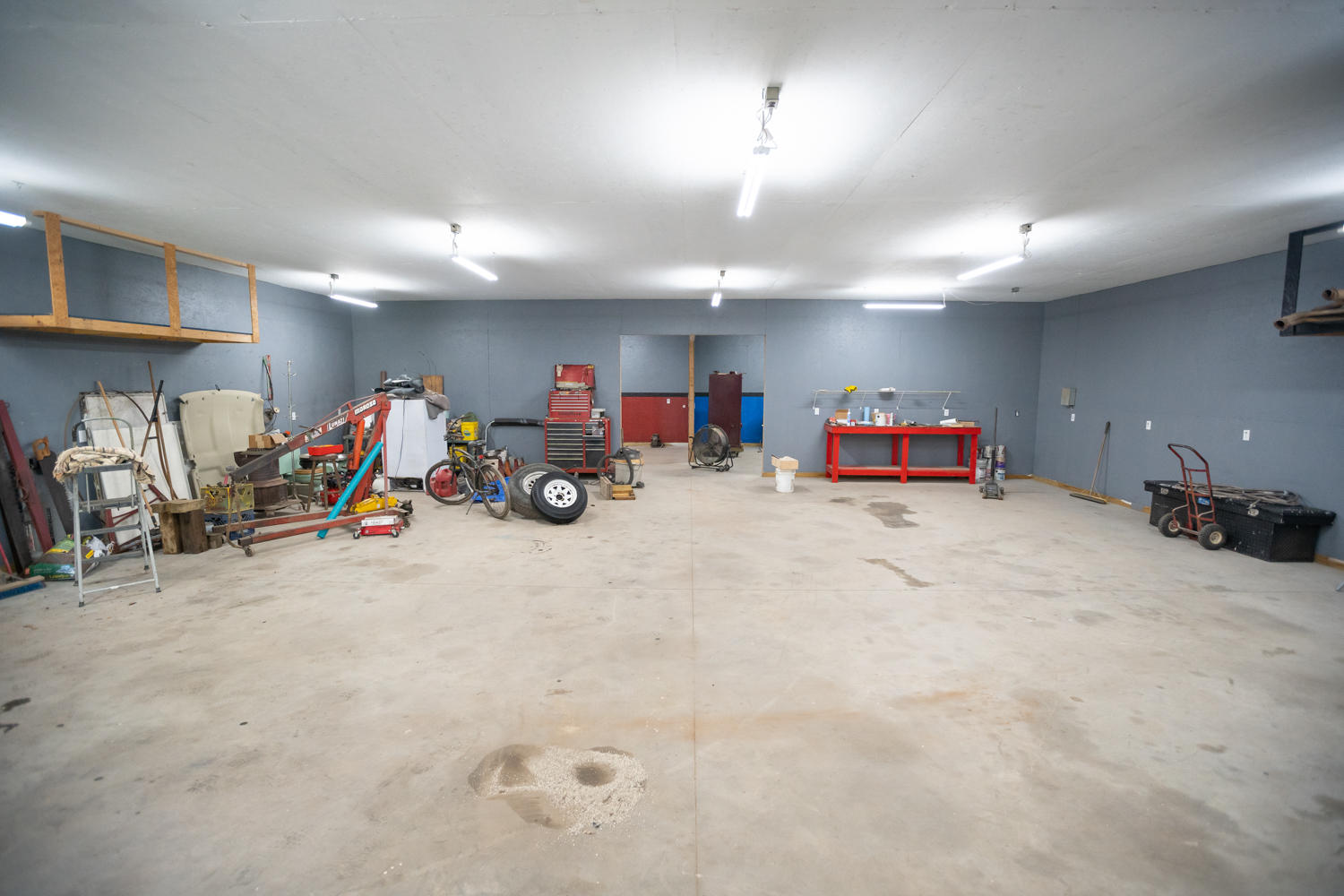 14228 Round O Road Round O, SC 29474 - Photo 43 of 72 Inside workshope/garage