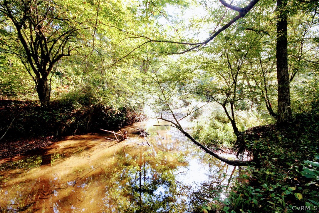 0 Glover Hill Road Buckingham, VA 23921 - Photo 11 of 44 a view of tree