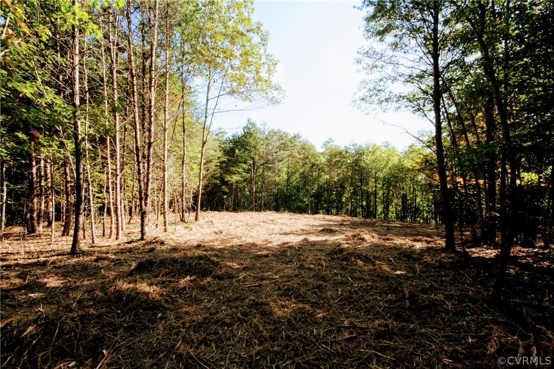 0 Glover Hill Road Buckingham, VA 23921 - Photo 12 of 44 a view of road with trees