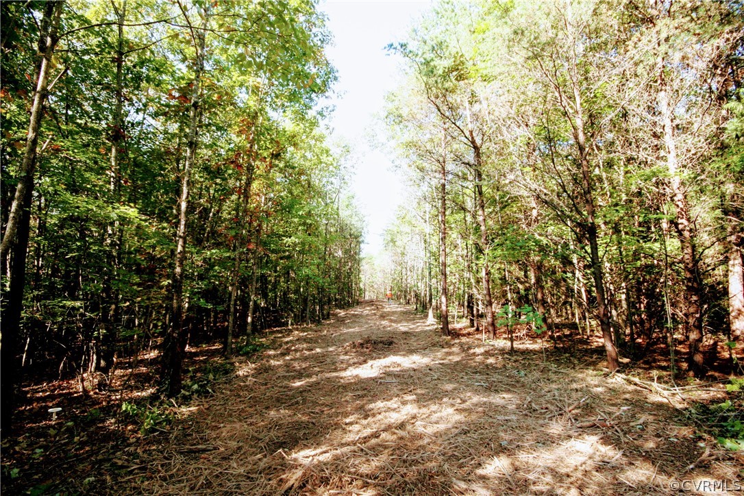 0 Glover Hill Road Buckingham, VA 23921 - Photo 13 of 44 a view of outdoor space with trees
