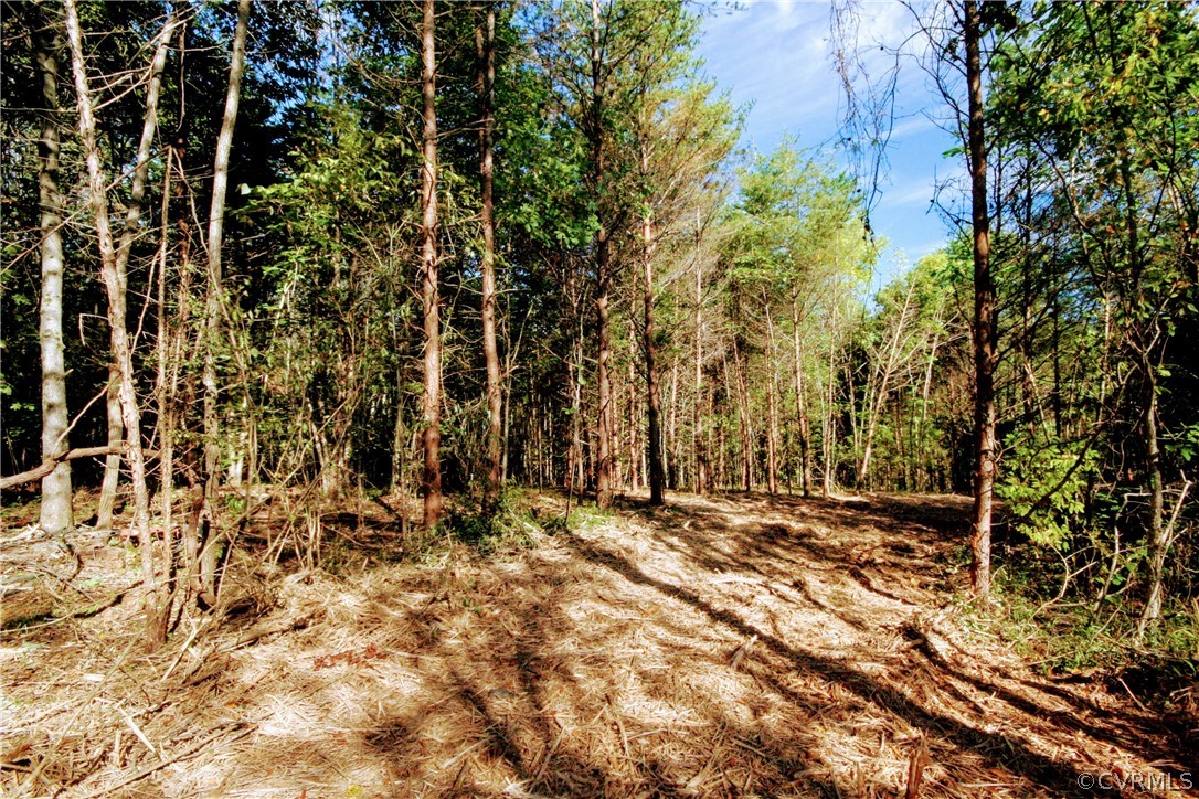 0 Glover Hill Road Buckingham, VA 23921 - Photo 15 of 44 a view of outdoor space with trees