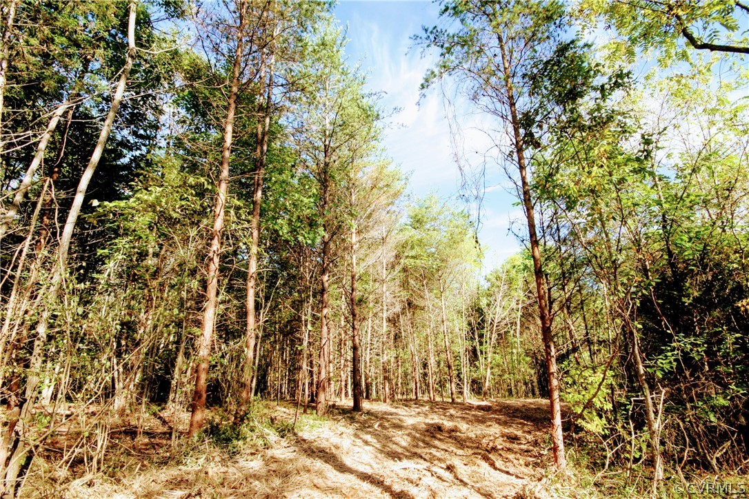 0 Glover Hill Road Buckingham, VA 23921 - Photo 16 of 44 a view of house with yard