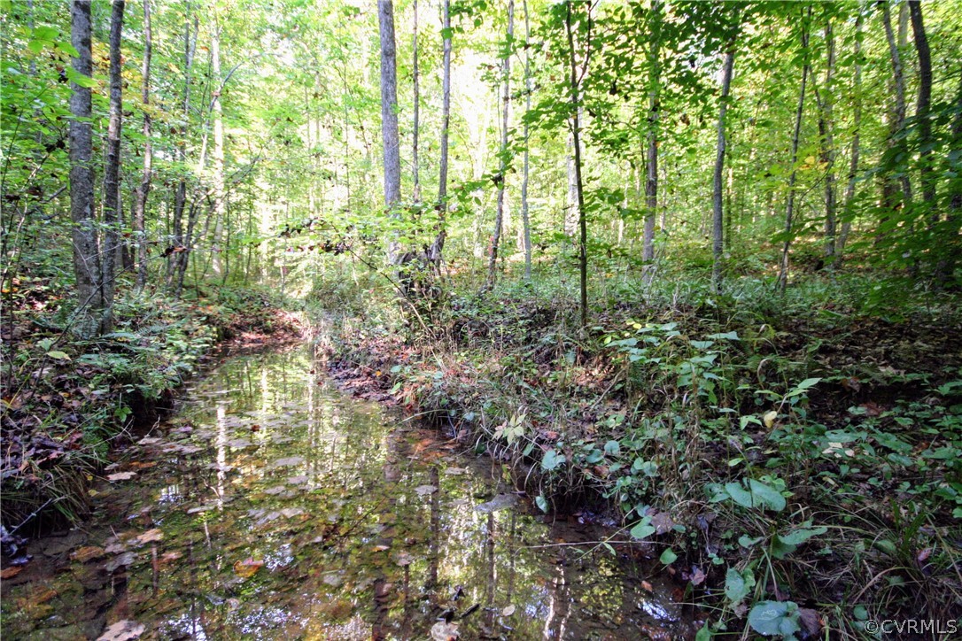 0 Glover Hill Road Buckingham, VA 23921 - Photo 21 of 44 a view of a yard with plants and large trees