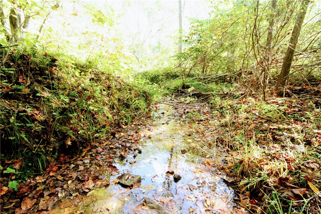 0 Glover Hill Road Buckingham, VA 23921 - Photo 25 of 44 a view of a yard with a tree